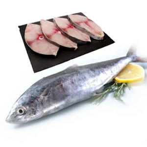 Suministro al por Mayor de Pescado Rey Congelado, Carne Fresca de Pescado Rey para Comercio Internacional - Product Image 4