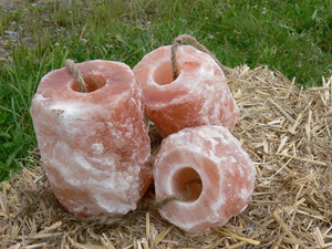 Bloc de sel rose de l'Himalaya pour animaux Demaro Salt Premium, forme carrée, certifié ISO et HACCP - Product Image 6