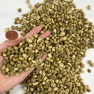 Granos de Café Robusta Culi de Vietnam de Alta Calidad, Sin Tostar, Aroma Intenso, Proceso Seco, Venta al Por Mayor para la Industria del Café - Product Image 1