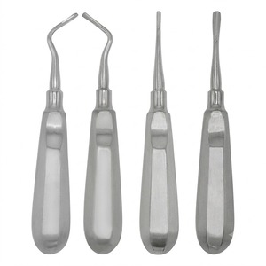 Juego de 18 Instrumentos Quirúrgicos Orales Veterinarios Básicos de Acero Inoxidable Reutilizables y Autoclavables Paco Industries PA-vet-1266546 - Product Image 3