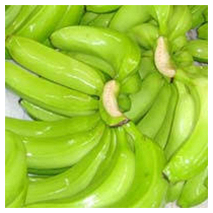 Plátano Cavendish Verde Fresco de Buena Calidad - Product Image 1
