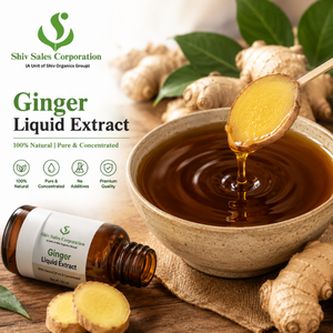Extrait de gingembre liquide de qualité supérieure pour les acheteurs industriels, adapté à la production alimentaire et aux applications en matière de boissons - Product Image 3