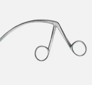 Instrumentos Quirúrgicos de Base, Pinzas para Sujetar Tendones Carroll, Instrumentos de Calidad Especial - Product Image 4