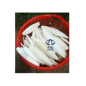 BEST SELLING BLUE LOTUS Os de Seiche Durable de Haute Qualité, Pur, Riche en Calcium, Complément Alimentaire Minéral pour Oiseaux, Exportation en Vrac - Product Image 5