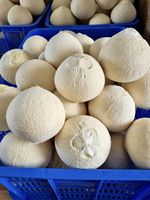 Cocos jóvenes frescos naturales de sabor dulce con pajita/botón pulsador/Tirador de anillo del proveedor de Vietnam