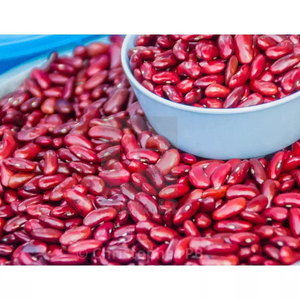 Proveedor mayorista de frijoles rojos en venta a precio razonable - Product Image 4