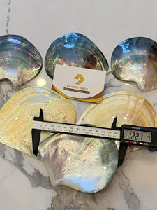 PLAT EN COQUILLE ARC-EN-CIEL POLI À LA MAIN JAUNE |   PIÈCE D'ART NATURELLE EXQUISITE |   Vaisselle haut de gamme écologique - Product Image 6