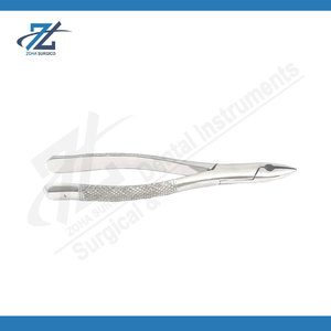 Forceps d'extraction dentaire n° 101 pour bicuspides supérieurs et inférieurs, dents laitières, instrument d'extraction en acier inoxydable, fabriqué au Pakistan - Product Image 2