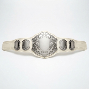 Cinturón de Campeonato con Correa de Cuero, Personalizado, para Lucha Libre, Boxeo, Deportes, Trofeo, Premio, Competencia, Placas de Metal Personalizadas - Product Image 1