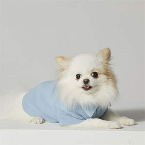 ODM Quick Shipping Delivery Solid Blue Polo Shirt <b>Dog</b> Clothes - Product Image 4