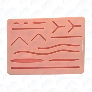 Kit de pratique de suture et de dissection durable de qualité supérieure pour étudiants en anatomie, biologie et médecine - Product Image 2