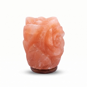 Lámpara de Sal del Himalaya, Luz de Cristal Rosa Natural en Forma de Flor para Regalos, Minoristas y Tiendas de Decoración - Product Image 1