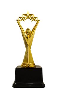 Wooden Memento 1st 2nd 3rd Place Awards Customizable Recognition <b>Trophy</b> for Sports Academics & Competitions set of 3 - Product Image 6