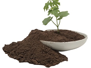 Engrais en poudre de guano biologique, fabriqué à partir de guano de chauve-souris de qualité supérieure sélectionné en Indonésie - Product Image 5