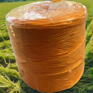 Ficelle en polypropylène à haute résistance, film fendu, 9000-25000 deniers, agriculture, banane, tomate, poly lashing, imperméable, résistant aux UV - Product Image 1
