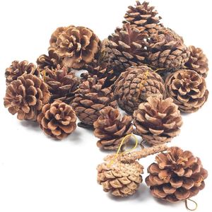 Ghirlanda di Pigne Naturali Rustiche per Decorazioni Albero di Natale e Riempimento Vasi Invernali, Artigianato Fatto a Mano - Product Image 1
