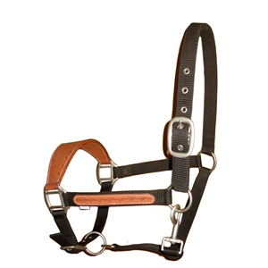 Harnais de cheval en nylon avec rembourrage en cuir, réglable, durable, collier de tête rembourré doux, harnais de cheval équestre robuste - Product Image 5
