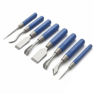 Juego de Cinceles para Huesos de Acero Inoxidable de Precisión, Instrumentos Quirúrgicos Ortopédicos, Herramientas de Corte y Modelado para Cirugía Ortopédica - Product Image 1