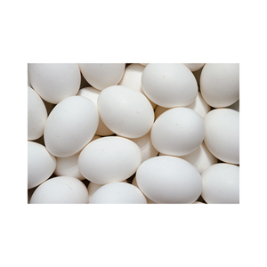 Proveedor de Huevos de Gallina Frescos Ricos en Proteínas, Huevos de Cáscara Blanca Disponibles Ahora, Proveedor Mayorista de Huevos de Gallina Frescos - Product Image 6