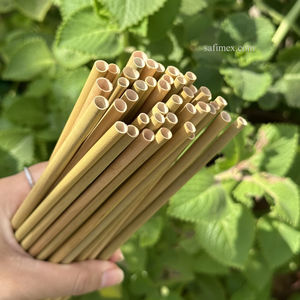 Pajitas Ecológicas Biodegradables Desechables de Paja Natural de Lepironia Articulata, Tratadas y Sostenibles, de 20 cm - Product Image 1