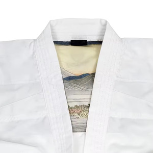 Uniforme de Karate Unisex Woosung, Aprobado por la WKF, Estilo Kendo, Logotipo Personalizado, Kimono de Artes Marciales, Karate, Jiu Jitsu - Product Image 6