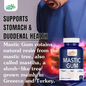 Complément de Gommes de Mastic à Forte Demande pour la Santé Digestive et Gastrique, Remède Naturel à Base de Plantes, Meilleur Prix, Export en Gros depuis l'Inde - Product Image 4