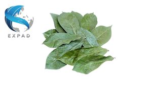 ทุเรียนเทศแห้งดิบแบบพรีเมี่ยมเครื่องดื่มชาเพื่อสุขภาพจากสมุนไพร graviola guanabana จากประเทศเอเชียตะวันออกเฉียงใต้ - Product Image 1