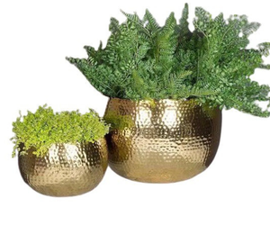 Compre un macetero decorativo de metal de primera calidad con un diseño de acabado premium para una elegante exhibición en jardines interiores y exteriores. - Product Image 5