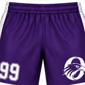 Men Purple Sublimated Ice Hockey <b>Shorts</b> <b>Polyester</b> Striped Athletic Team Sports <b>Shorts</b> Training Game Wear Sports Clothing - Product Image 3