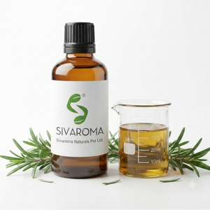 Huile essentielle de romarin professionnelle pour les marques cosmétiques, les fabricants de produits de soins personnels, les produits de beauté et les parfums - Product Image 3