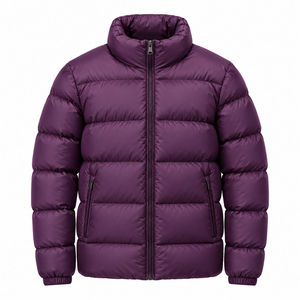 Chaqueta Acolchada Plateada para Hombre, con Capucha, Cierre de Cremallera, Relleno Transpirable, Forro Polar, Resistente al Viento, Estándar, Informal, para Invierno - Product Image 6