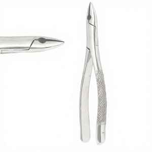 Forceps d'extraction dentaire de haute qualité en acier inoxydable, instrument chirurgical pour l'extraction des canin supérieurs et inférieurs et des dents de lait - Product Image 2