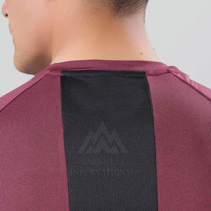 Ropa Deportiva de Secado Rápido para Hombre, Camisetas de Gimnasio con MOQ Bajo, Camisetas Deportivas para Hombre a Precio de Mayoreo - Product Image 4