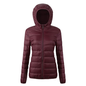 Chaqueta Acolchada con Capucha para Mujer Twin City, Abrigo de Invierno de Manga Larga, Azul, Relleno de Poliéster, Cortavientos, Cuello Desmontable, Gruesa - Product Image 1