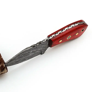 Customizable Stainless Steel Hunting <b>Knife</b> with Comfortable Handmade Curved Skinner <b>Knife</b> with <b>Bone</b> <b>Handle</b> & Leather Sheath - Product Image 2