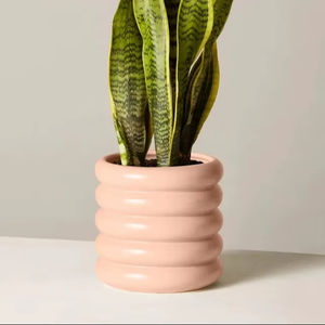 Maceta de Cerámica de Lujo en Dos Tonos con Esmalte Premium, Construcción Duradera, Decoración Moderna para Interiores, Hogar y Jardín - Product Image 2