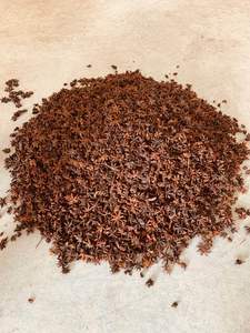 Anís Estrellado de Vietnam, Cosecha de Otoño, Nueva Temporada, Grado Premium, Seco, Mezclado, Certificado HACCP, Sabor Intenso, Precio al por Mayor - Product Image 2