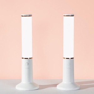 [Lumicrion] Bolsa de Cosméticos de Viaje con Luz LED Natural Especializada para Maquillaje y Color Personal, Compatible con Luz LED - Product Image 1