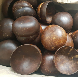 Ensemble de bols et cuillères jetables en coque de noix de coco de haute qualité, motif personnalisé, écologique, futur vert, dessin animé, crème glacée, best-seller - Product Image 2