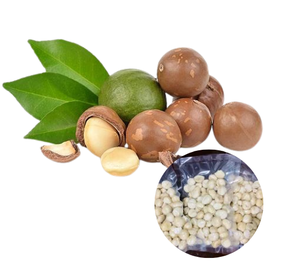 Nueces de Macadamia Tostadas y Descascarilladas a Granel, Precio de Fábrica, Precio Competitivo, Estándar Internacional - Product Image 1