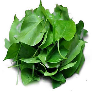 ใบไม้เขียวแช่แข็งจากแม่น้ำ สำหรับทำซุปสไตล์เอเชียตะวันออกเฉียงใต้แบบดั้งเดิม - Product Image 3