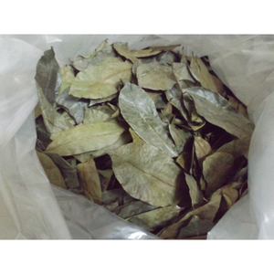 Poudre d'extrait de feuille de corossol de qualité supérieure du Vietnam naturel - Product Image 3