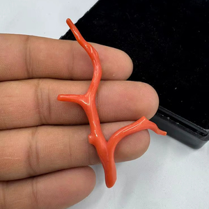 ลูกปัดปะการังแดงอิตาลีธรรมชาติ รูปทรงกิ่งไม้ สำหรับทำเครื่องประดับ ปะการังรูปทรงต้นไม้ คุณภาพสูง - Product Image 4