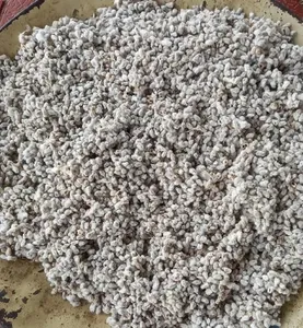 Graines de coton à haut rendement pour l'agriculture avec une durée de conservation de 12 mois - Product Image 3