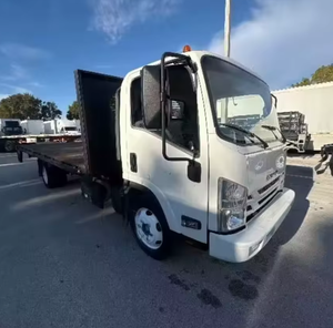 Buen Precio 2019 2020 Para Camión Isuzu NQR de Plataforma - 215HP 6 Velocidades Automático LHD/RHD Entrega Global - Product Image 5