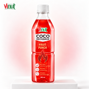 Vinut Coco Recharge Fruit Punch 500ml Bouteille PET Eau de Coco Naturelle Boisson Électrolytique Sportive Marque Privée Usine - Product Image 1