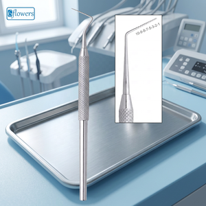 เครื่องมือสำรวจช่องปาก Dental Explorer 10-9-8-7-5-3-2-1 ทำจากสแตนเลสสตีล คลาส I ได้รับการรับรองมาตรฐาน CE สำหรับการทำความสะอาดและอุดฟัน - Product Image 2