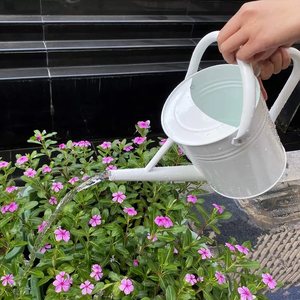 Regadera de Jardín con Cabezal de Aspersión para Plantas Bonsái, Regadera de Plástico Blanca para Jardinería Interior y Exterior - Product Image 4