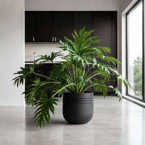 Juego de 5 macetas decorativas esféricas de fibra de vidrio negra lisa, estilo escandinavo, para jardín, patio, interior y exterior, de 30-60 cm, a precio económico. - Product Image 6