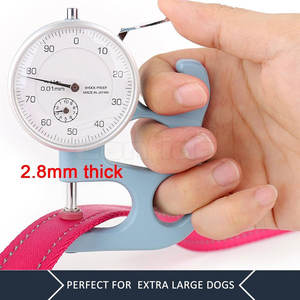 Laisse réglable pour animaux de compagnie, fermeture à boucle robuste, sangle de qualité supérieure, maintien confortable pour les longues promenades et les aventures en plein air - Product Image 5